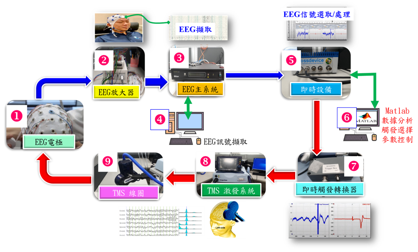 自架台灣唯一EEG與TMS結合之刺激系統